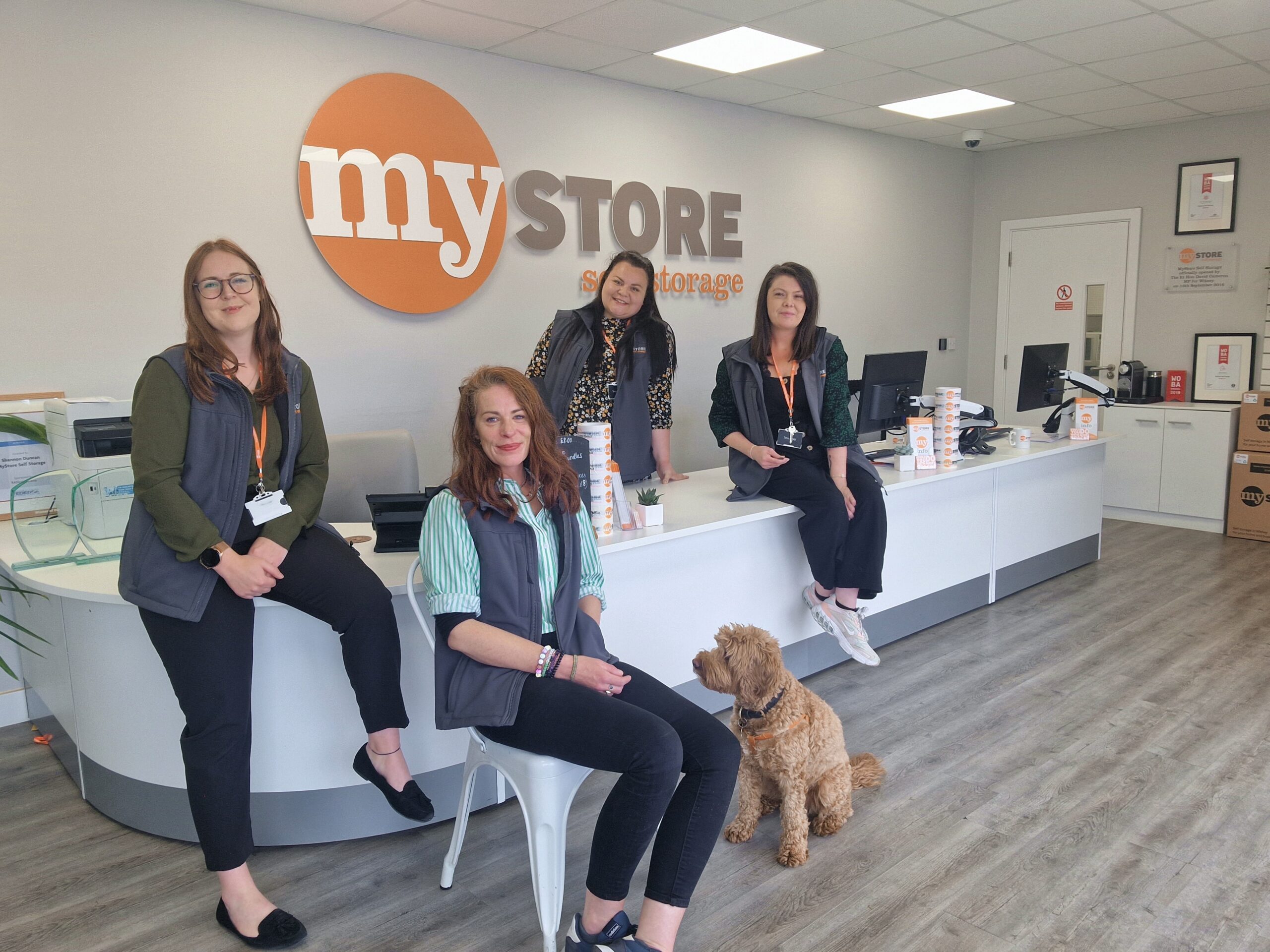 Contact the MyStore Team